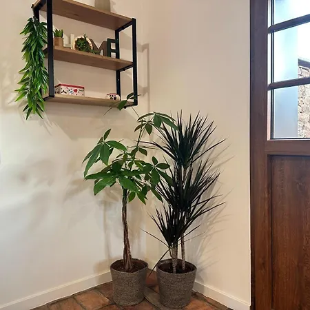 Les 7 Prunes - Demeure Alsacienne D'exception Prázdninový dům