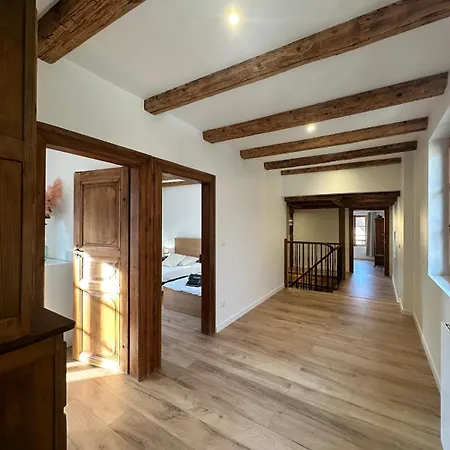 Les 7 Prunes - Demeure Alsacienne D'exception Holiday home