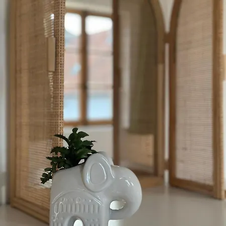 Les 7 Prunes - Demeure Alsacienne D'exception *