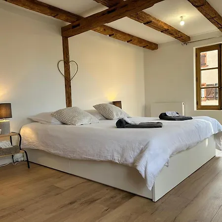 Les 7 Prunes - Demeure Alsacienne D'exception Prázdninový dům